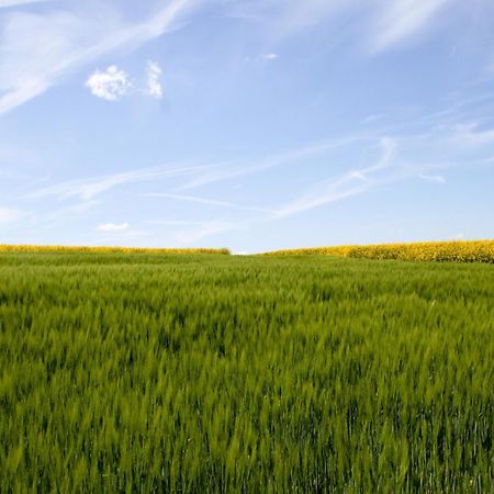 Landgasthof Zur Post Zilshausen Zewnętrze zdjęcie