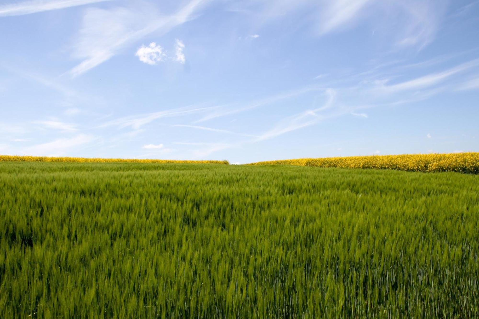 Landgasthof Zur Post Zilshausen Zewnętrze zdjęcie
